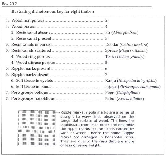 Dichotomous Key for Eight Timbers according to Rao & Juneja, 1971