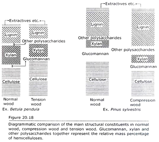 Main Structural Constituents in Normal Wood, Compression Wood and Tension Wood