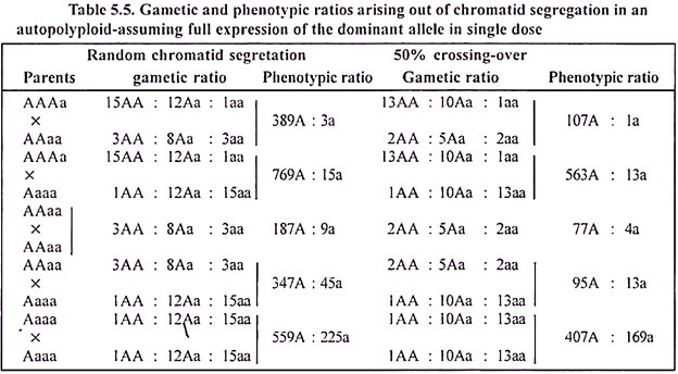 Gametic and Phenotypic Ratios