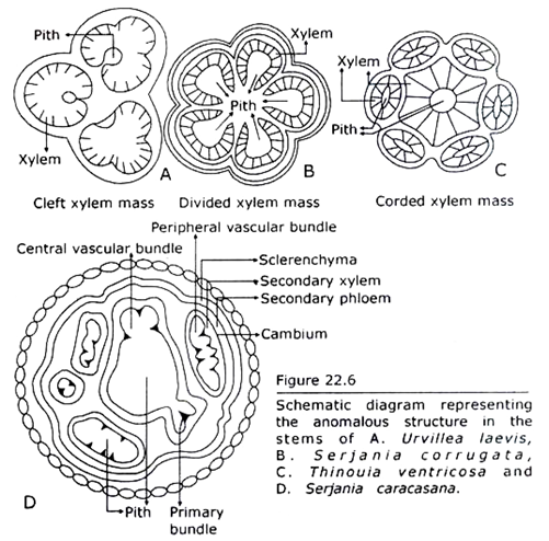 Anomalous Structure in the Stem