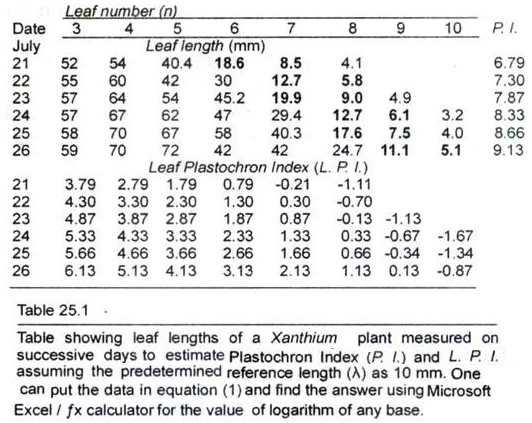 Leaf Lenghts of a Xanthium Plant