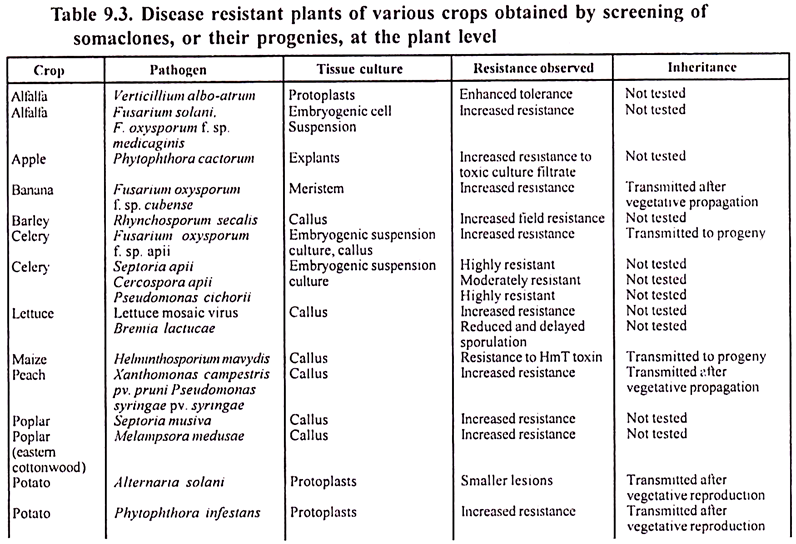 Disease resistant plants