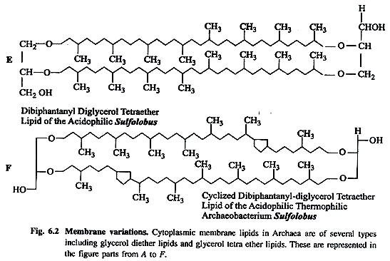 Membrane Variations