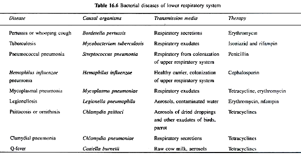 Bacterial Diseases of Lower Respiratory System