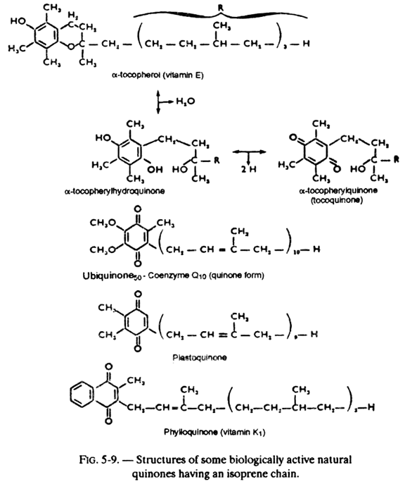 Structures of some biologically active natural quinones having an isoprene chain