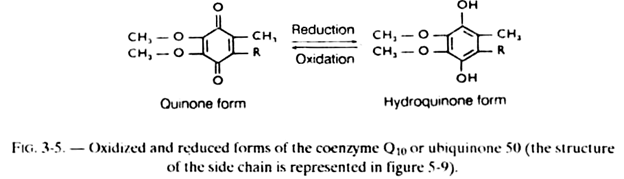 Oxidized and Reduced forms of the Coenzyme Q 10