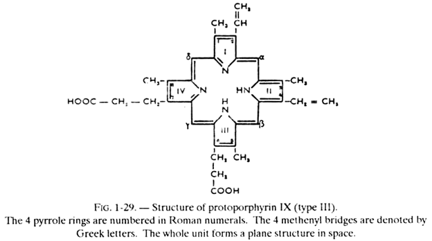 Structure of Protoporphyrin IX