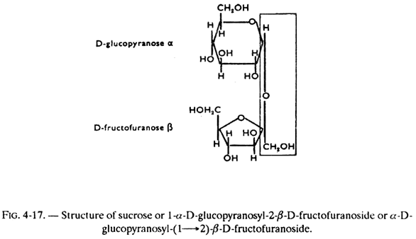 Structure of Sucrose