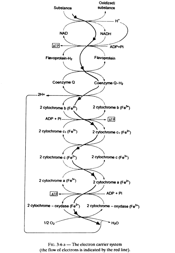 Electorn Carrier System