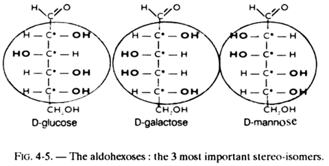 Aldohexoses