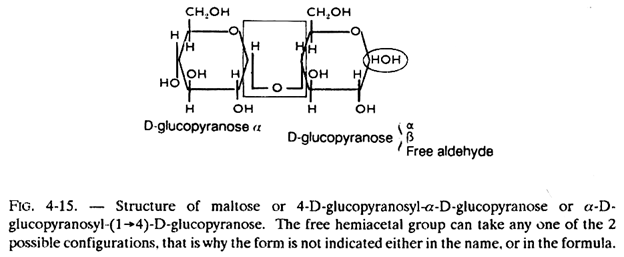 Structure of Maltose