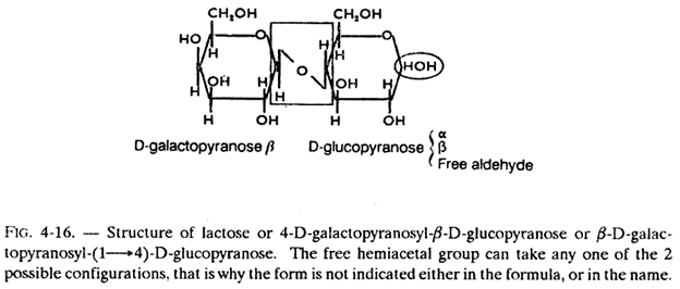 Structure of Lactose