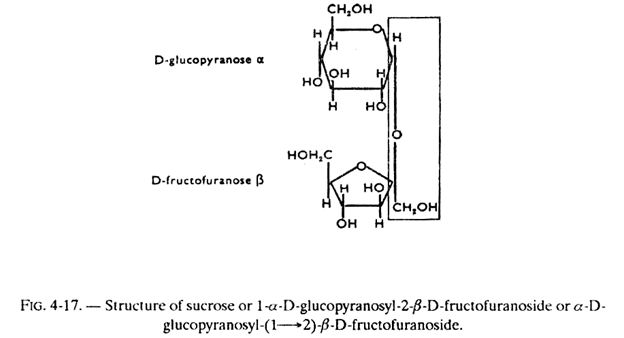 Structure of Sucrose