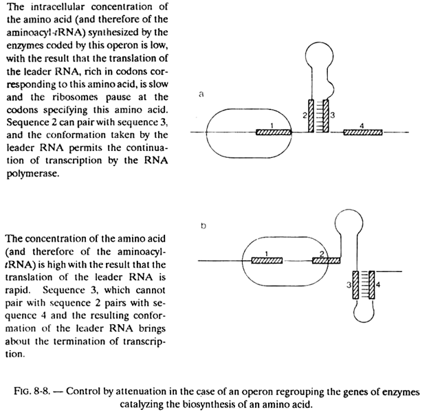 Control by Attenuation