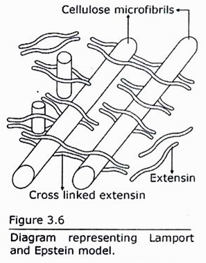 Lamport and Epstein Model