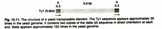 Stability of parameters