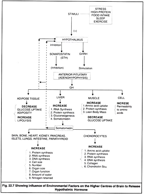 Influence of Environmentals Factors