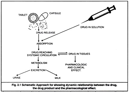 Dynamic Relationship between The Drug, The Drug Product and The Pharmacological Effect