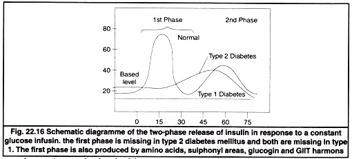 Two-Phase Release of Insulin