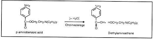 Hydrolysis