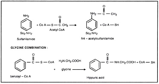 Example of Acylation