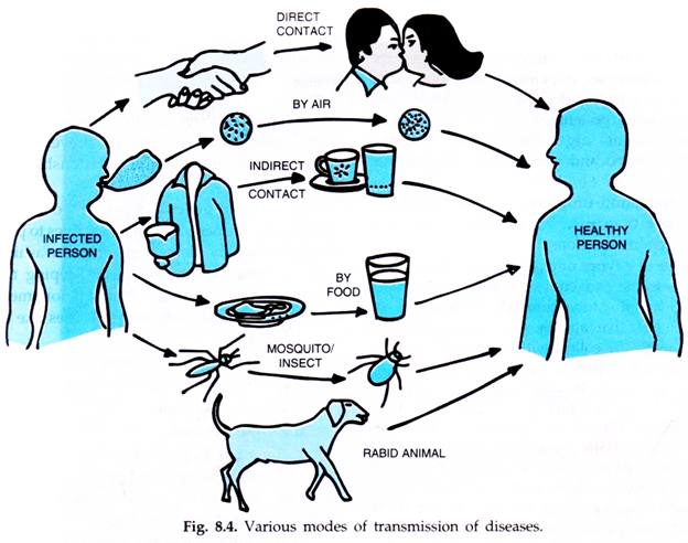 Various Modes of Transmission of Diseases