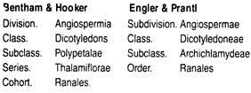 Systematic Position