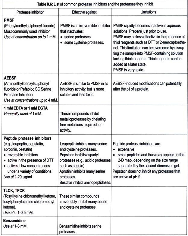 Comparison of the Families of Scitamineae