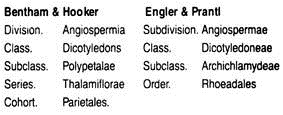 Systematic Position