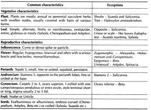 Distinctive Features