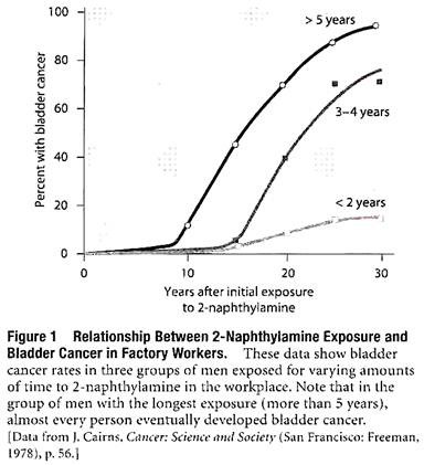 Relationship between 2-Naphthylamine Exposure and Bladder Cancer