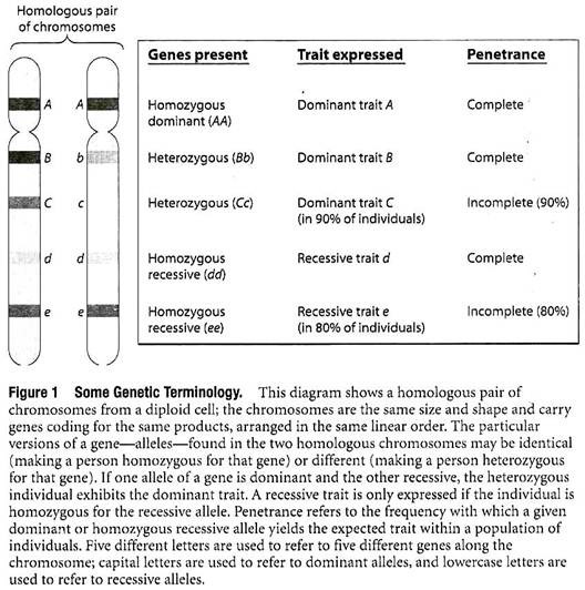 Some Genetic Terminology