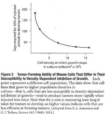 Tumor-Forming Ability of Mouse Cells 