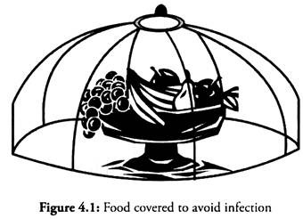 Food Covered to Avoid Infection