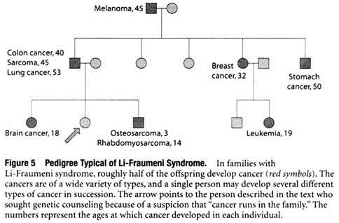 Pedigree Typical of Li-Fraumeni Syndrome