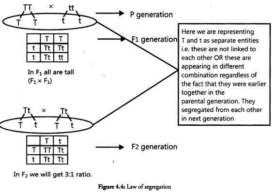 Laws of Segregation