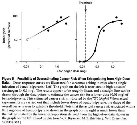 Possibility of Overestimating Cancer Risk