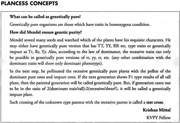 Plancess Concepts