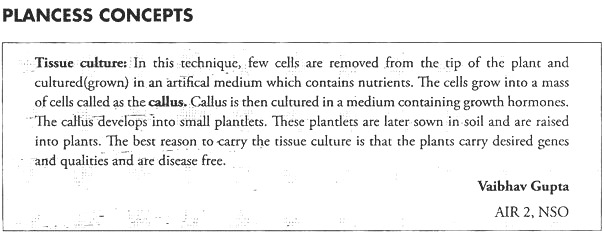 Plancess Concepts