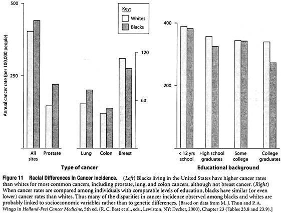 Racial Differences in Cancer Incidence