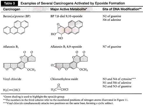 Examples of Several Carcinogens Activated by Epoxide Formation