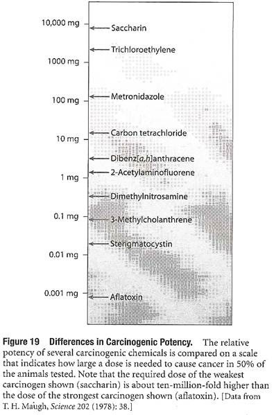 Differences in Carcinogenic Potency