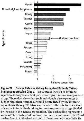 Cancer Rates in Kidney Transplant Patients Taking Immunosuppressive Drugs