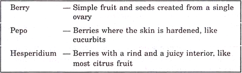 Common Type of Fleshy Fruit