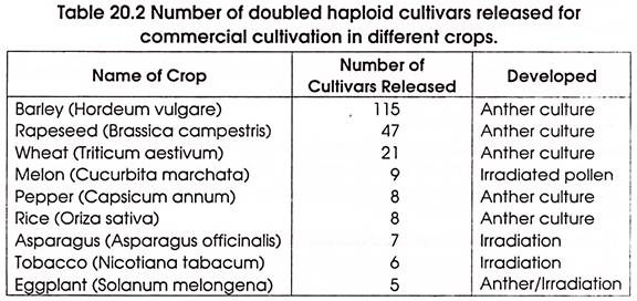 Number of Doubled Haploid Cultivars