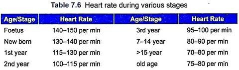 Heart Rate During Various Stages