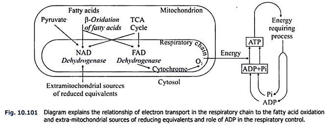 Energy Transformation