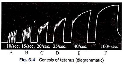 Genesis of Tetanus