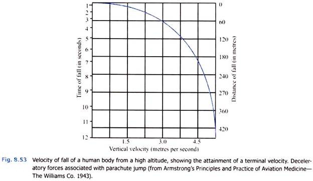 Velocity of Fall of Human Body