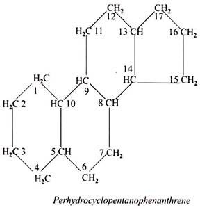 Perhydrocyclopentanophenanthrene